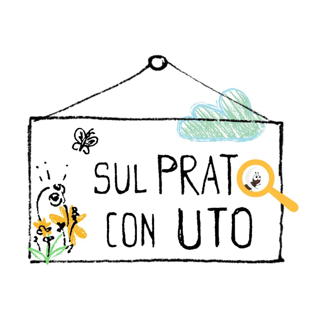 UTO BOX | N. 06 SUL PRATO CON UTO